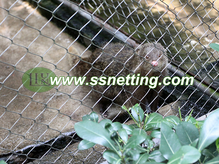 Animal Enclosures Netting