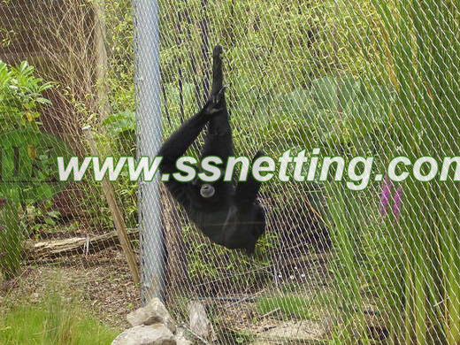 Gorilla jump Cage fence