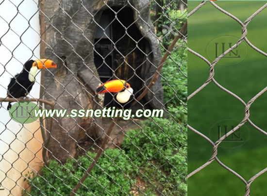 Parrots cage netting design and construction