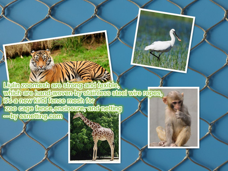Stainless steel Zoomesh, animal fence, animal enclosure, bird netting .jpg