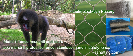 Mandrill fence, mandrill enclosure, zoo mandrill protective fence, stainless mandrill safety fence.jpg