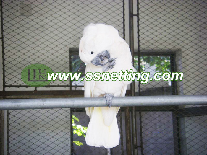 The stainless steel wire rope woven mesh for Parrots netting