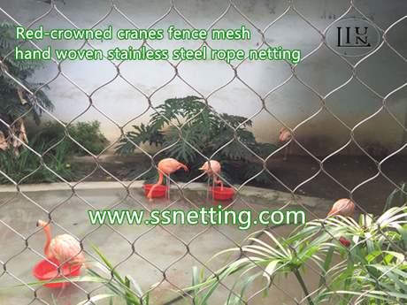 red-crowned cranes fence mesh.jpg