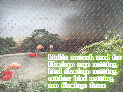 flamingo cage netting.jpg