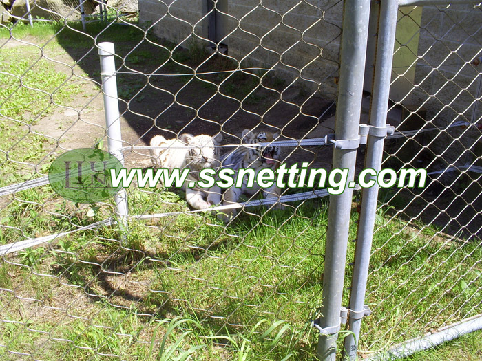 Stainless steel wire rope mesh for zoo exhibit netting