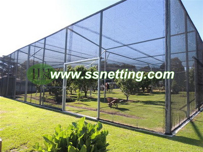 Bird cage netting selection and building