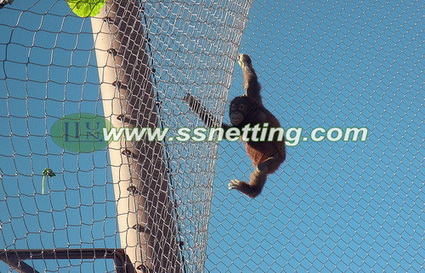 Factory Price of 304/316 Fexible Monkey Netting code#2038