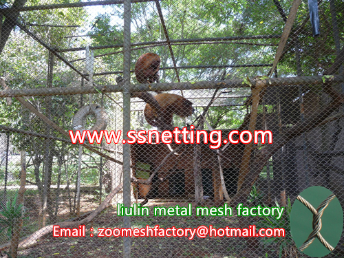 Monkey Hall venues metal fence mesh, steel wire rope monkey enclosure fence, Golden monkeys metal cage net