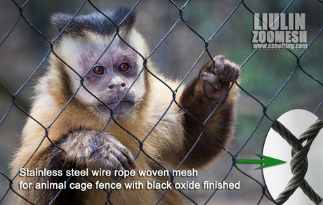 Stainless steel wire rope woven mesh for animal cage fence with black oxide finished.jpg
