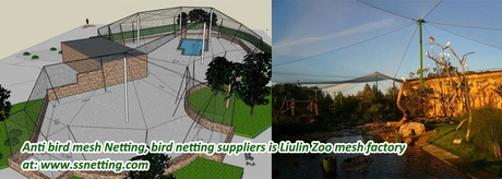 Anti bird mesh Netting.jpg