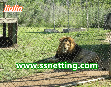 tiger fence netting, tiger cage fence.jpg