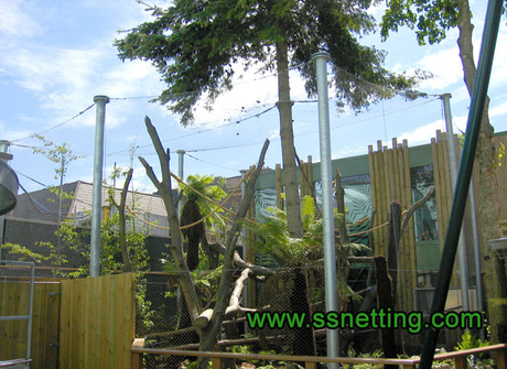 zoo-monkey-enclosure-mesh.jpg