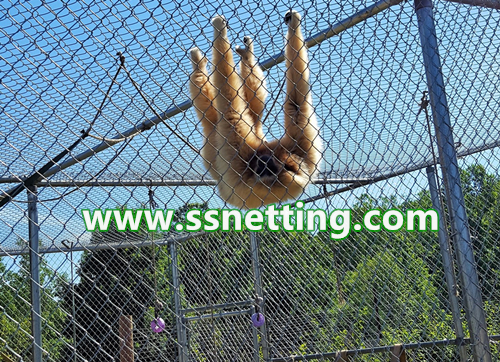 Stainless steel rope mesh for zoo animal cage protection