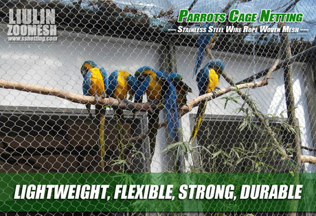 Parrots Cage Netting.jpg