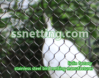 stainless steel bird netting.jpg