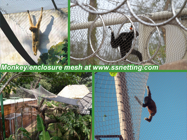Selection of Stainless Steel Wire Rope Mesh in Zoo Reconstruction
