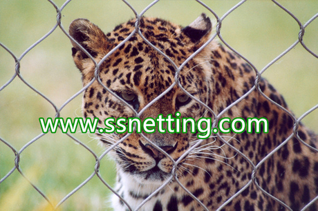 Stainless steel animal enclosure mesh.jpg