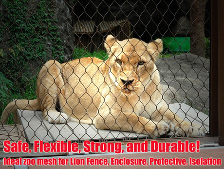 Lion cage mesh safe, protective,strong, durable.jpg