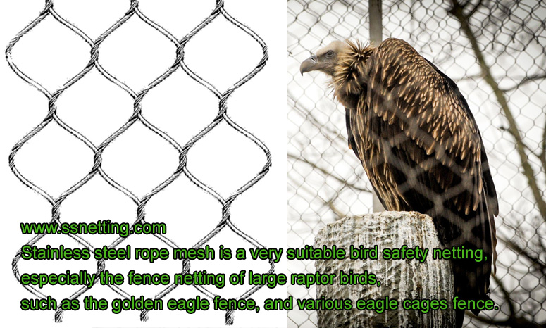 Fence Netting Of Large Raptor Birds Golden Eagle Fence