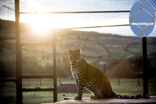 Liulin Zoo mesh suitable for kinds of modern zoological animal fence