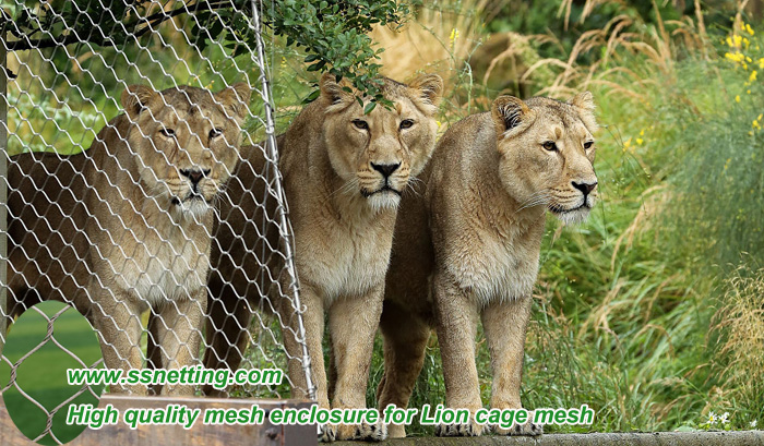 High quality mesh enclosure for Lion cage mesh