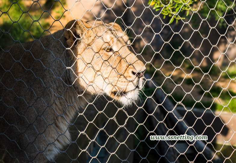 Flexible cable mesh for construction and renovation of zoo lion fences