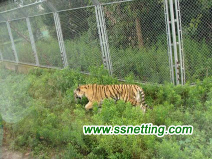 Tiger Enclosure Fence - Indispensable For The Zoo